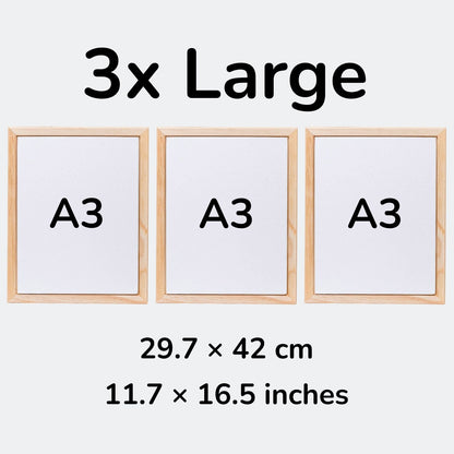 3x Large