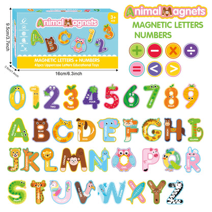 Alphabets & Numbers (43 pcs)