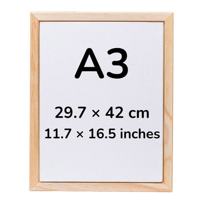 A3