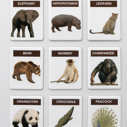 Montessori Realistic Animal Magnets (48 pcs)
