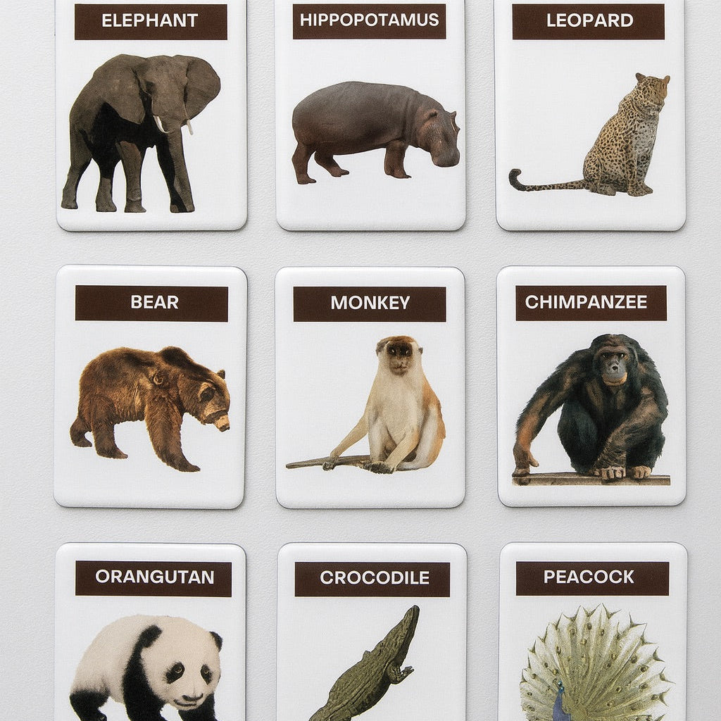 Montessori Realistic Animal Magnets