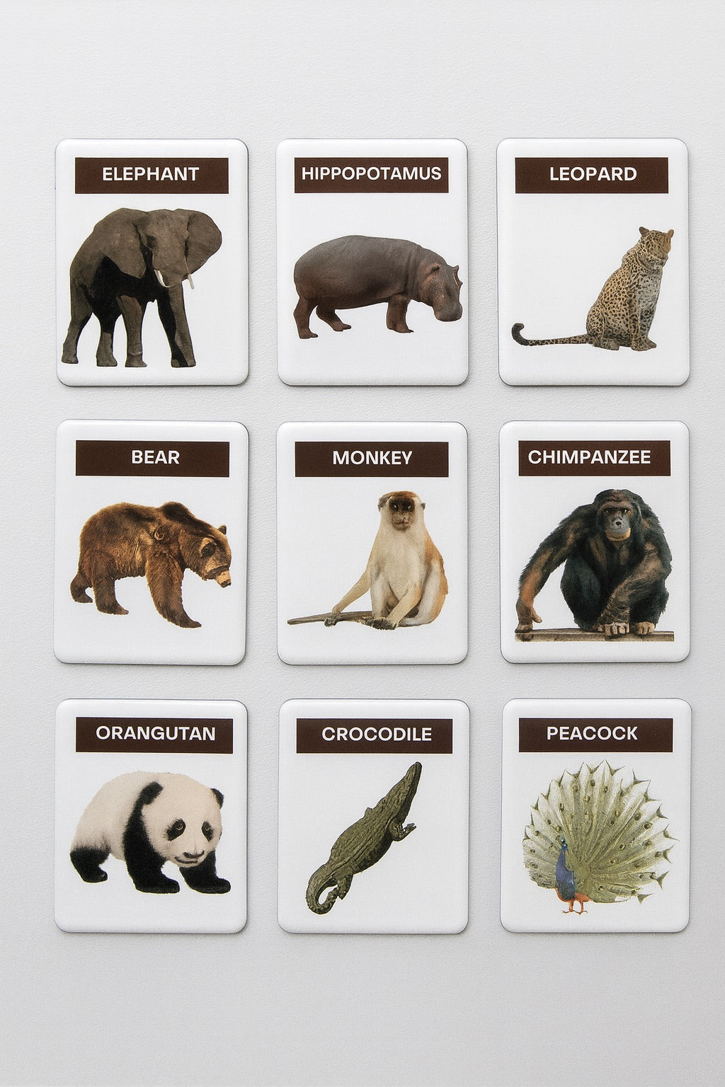 Montessori Realistic Animal Magnets (48 pcs)